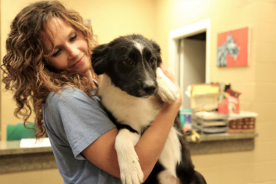 Dekalb County Animal Adoption Center - Pet Shelter and Rescue in Fort Payne, Alabama