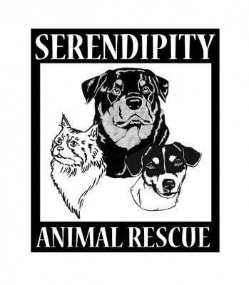Serendipity Animal Rescue - Pet Shelter and Rescue in Huntsville, Alabama