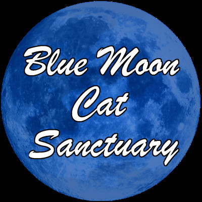 Blue Moon Cat Sanctuary - Pet Shelter and Rescue in Witter, Arkansas