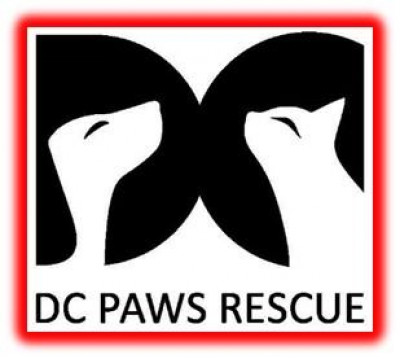 DC PAWS Rescue - Pet Shelter and Rescue in Washington, District Of Columbia