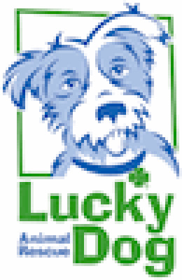 Lucky Dog Animal Rescue - Pet Shelter and Rescue in Washington, District Of Columbia