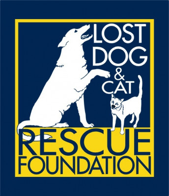 Lost Dog And Cat Rescue Foundation - Pet Shelter and Rescue in Falls Church, Virginia