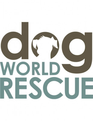 Dog World Rescue, Inc. - Pet Shelter and Rescue in Clifton, Virginia