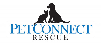 PetConnect Rescue - Pet Shelter and Rescue in Potomac, Maryland