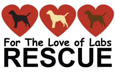 For The Love Of Labs Rescue - Pet Shelter and Rescue in Torrington, Connecticut