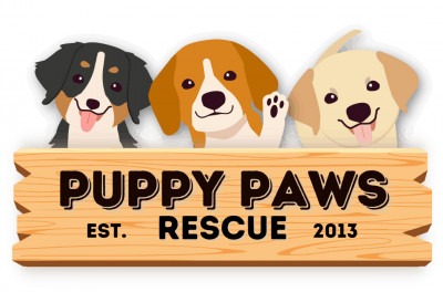 Puppy Paws Rescue - Pet Shelter and Rescue in Huntingtown, Maryland