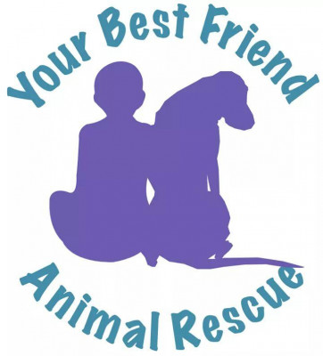 Your Best Friend Animal Rescue - Pet Shelter and Rescue in Dale City, Virginia