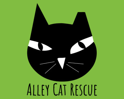 Alley Cat Rescue Inc - Pet Shelter and Rescue in Mount Rainier, Maryland