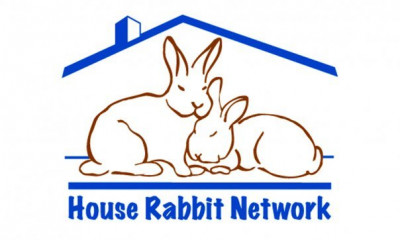 House Rabbit Network - Pet Shelter and Rescue in Westford, Massachusetts