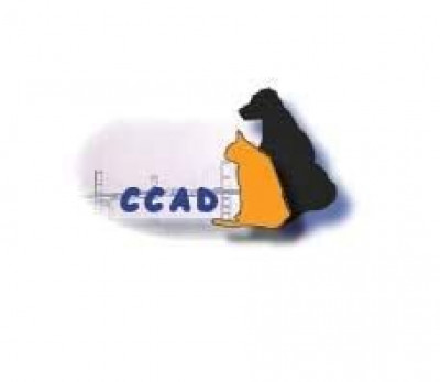 Chesapeake Cats And Dogs - Pet Shelter and Rescue in Queenstown, Maryland