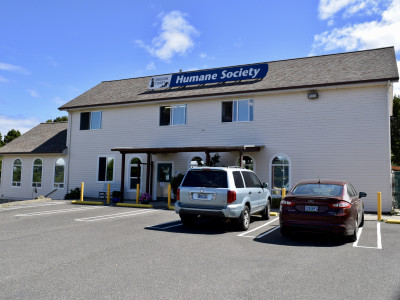 Oregon Coast Humane Society - Pet Shelter and Rescue in Florence, Oregon