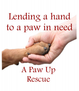 A Paw Up Rescue - Pet Shelter and Rescue in Prosser, Washington