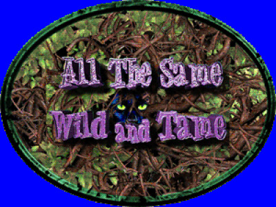 All The Same Wild And Tame - Pet Shelter and Rescue in Las Vegas, Nevada