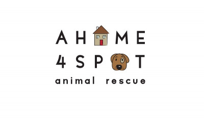 A Home 4 Spot - Pet Shelter and Rescue in Las Vegas, Nevada