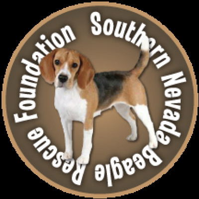 Southern Nevada Beagle Rescue Foundation - Pet Shelter and Rescue in Las Vegas, Nevada