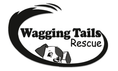 Wagging Tails Rescue - Pet Shelter and Rescue in Henderson, Nevada