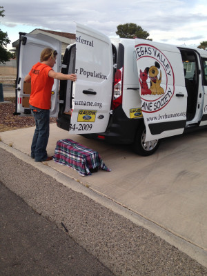 Las Vegas Valley Humane Society - Pet Shelter and Rescue in Las Vegas, Nevada