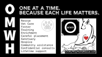 On My Way Home Rescue - Pet Shelter and Rescue in Las Vegas, Nevada