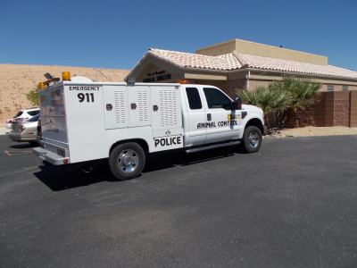 City Of Mesquite Animal Shelter - Pet Shelter and Rescue in Mesquite, Nevada