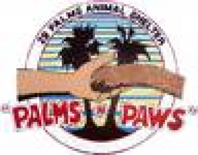 Palms N Paws Animal Shelter - Pet Shelter and Rescue in Twentynine Palms, California