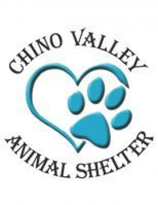 Chino Valley Animal Shelter - Pet Shelter and Rescue in Chino Valley, Arizona