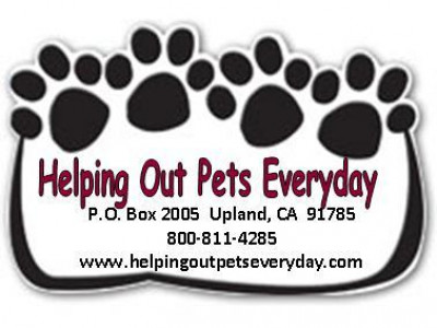 Helping Out Pets Everyday - Pet Shelter and Rescue in Upland, California