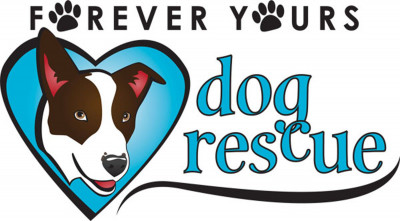 Forever Yours Dog Rescue - Pet Shelter and Rescue in Oklahoma City, Oklahoma