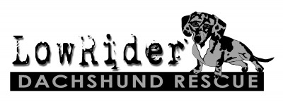 LowRider Dachshund Rescue - Dog Shelter and Rescue in Chickasha, Oklahoma
