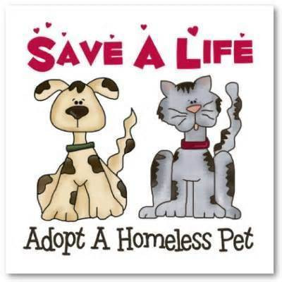 Forever Friends Humane Society - Pet Shelter and Rescue in Sallisaw, Oklahoma