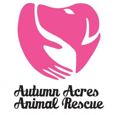 Autumn Acres - Pet Shelter and Rescue in Richmond, Missouri