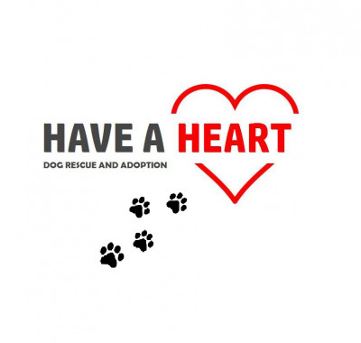Have A Heart Dog Rescue & Adoption - Pet Shelter and Rescue in Elwood, Illinois