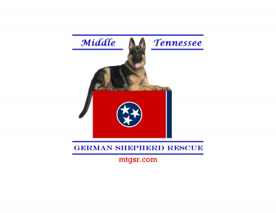Middle Tennessee German Shepherd Rescue - Pet Shelter and Rescue in Nashville, Tennessee