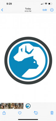 SPCA Of Tennessee - Pet Shelter and Rescue in Brentwood, Tennessee