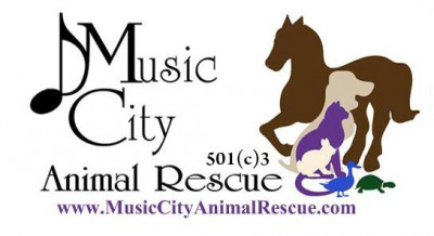 Music City Animal Rescue - Pet Shelter and Rescue in Nashville, Tennessee