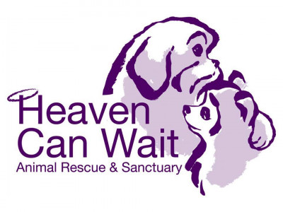 Heaven Can Wait Animal Rescue And Sanctuary - Pet Shelter and Rescue in Franklin, Tennessee