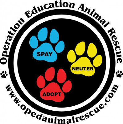 Operation Education Animal Rescue - Pet Shelter and Rescue in Murfreesboro, Tennessee