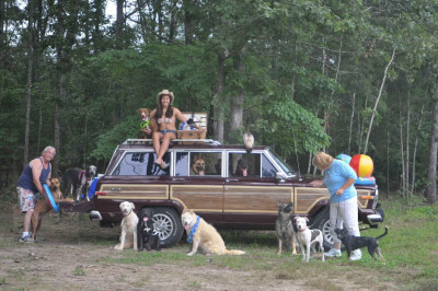 Waiting For A Star To Fall Farm - Pet Shelter and Rescue in Tullahoma, Tennessee