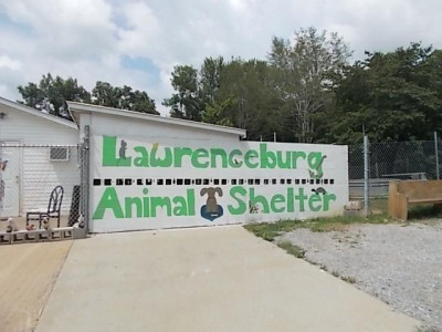 City Of Lawrenceburg Animal Control - Pet Shelter and Rescue in Lawrenceburg, Tennessee