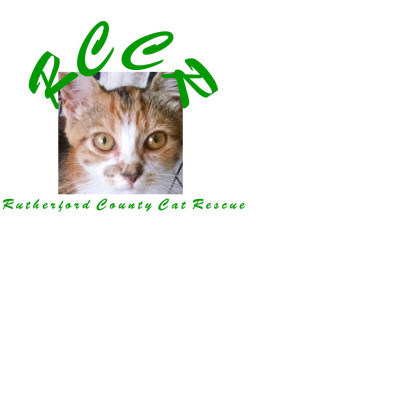 Rutherford County Cat Rescue - Pet Shelter and Rescue in Murfreesboro, Tennessee