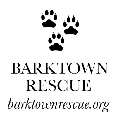 Barktown Rescue - Pet Shelter and Rescue in Boston, Kentucky