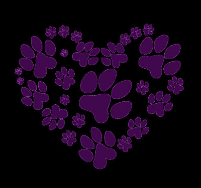 RUFF Rescue Tucson (Rehoming Unwanted Furry Friends) - Pet Shelter and Rescue in Tucson, Arizona