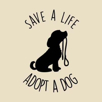 San Luis Valley Animal Welfare Society - Pet Shelter and Rescue in San Luis, Colorado