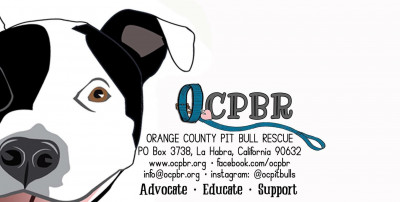 Orange County Pit Bull Rescue - Pet Shelter and Rescue in La Habra, California