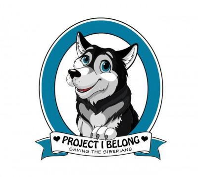 Project I Belong - Pet Shelter and Rescue in Orange, California