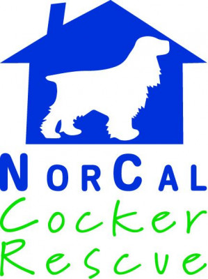 NorCal Cocker Rescue - Pet Shelter and Rescue in Sacramento, California
