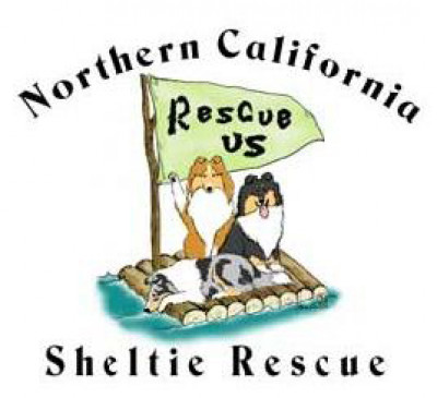 NorCal Sheltie Rescue - Pet Shelter and Rescue in Elk Grove, California