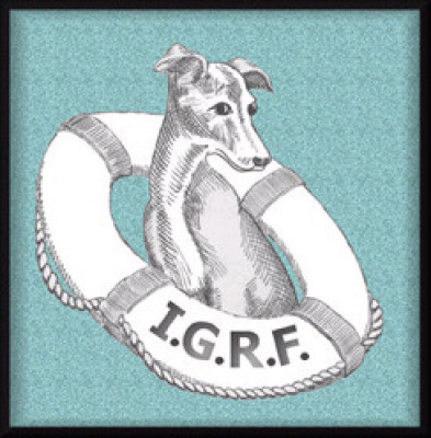 Northern California Italian Greyhound Rescue IGRF - Pet Shelter and Rescue in Vacaville, California