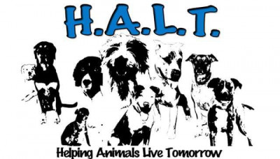 H.A.L.T. (Helping Animals Live Tomorrow) - Pet Shelter and Rescue in Bakersfield, California