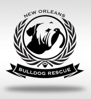 New Orleans Bulldog Rescue - Pet Shelter and Rescue in New Orleans, Louisiana