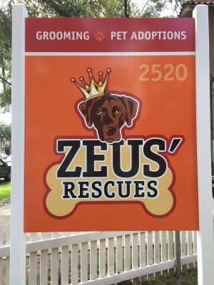 Zeus